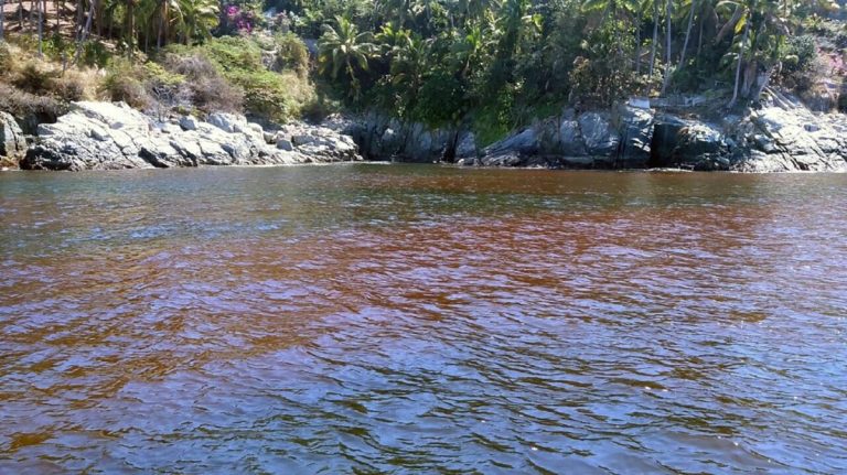 Marea roja tóxica en Manzanillo